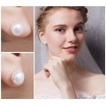 Freshwater Cultured Pearl Stud Earrings