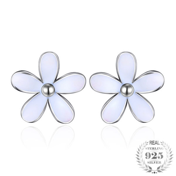 Lovely Daisies Flower 